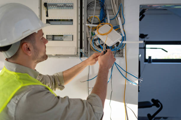 Best Electric Panel Repair  in Stone Park, IL